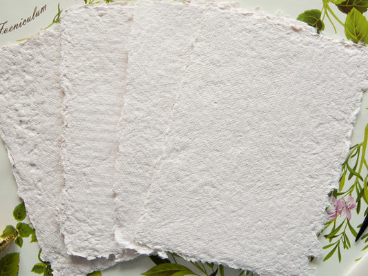 Carton Handmade Paper - 4 Sheets Set