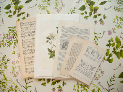 Vintage Junk Journal Pages