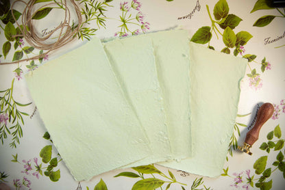 Light Green Handmade Paper - 4 Sheets Set