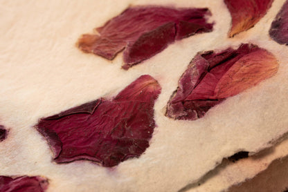 Rose Petal Handmade Paper - 4 Sheets Set